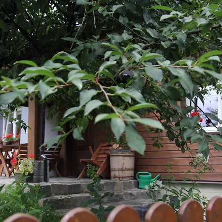 Matogowka * Krzeszowice